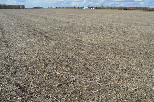 Property photo 48 - 75.3 Acres Offered in 2 Tracts